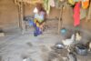 Depuis son retour au Soudan du Sud, Anoon vit dans cette hutte en terre. En tant que paysanne, elle a des projets d’avenir. csi