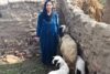 Grâce à son élevage de moutons, la famille de Mariam s’en sort beaucoup mieux aujourd’hui. Ce travail contribue aussi à lui donner une meilleure estime de soi. csi