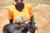 Heureuse et fière, Agel Mawien Ngong prend sa chèvre laitière dans ses bras. (csi)