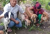 Bhakta et son épouse sont infiniment reconnaissants pour les chèvres. Ils espèrent que leur élevage va se développer. (csi)