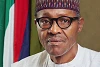 En février 2019, Mohammadu Buhari a été réélu président du Nigéria. Il est lui-même issu de l’ethnie des Peuls, de même que de nombreux cadres de l’armée et des services secrets. Le gouvernement reste le plus souvent passif face à la violence des djihadistes peuls. (wm:bom)