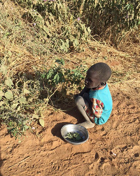 Cet enfant cueille des feuilles sauvages pour sa famille. La famine oblige les personnes à s’en nourrir. (csi)
