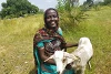 La joie se lit sur son visage : Adut Mathok Aguer n’en revient pas. Elle est libre et a reçu un nouvel avenir grâce à sa chèvre laitière. (csi)