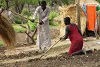 Au Soudan du Sud, l’agriculture est dure et souvent ingrate ! (csi)