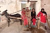 Neustart mit Esel und Karren: Rangoo und Saijda Masih mit den Töchtern. csi